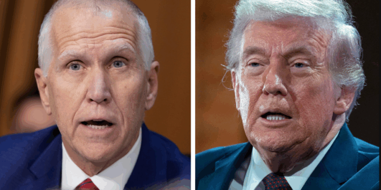 Trump rips Tillis after compensation fund criticism: 'Nitpicker'