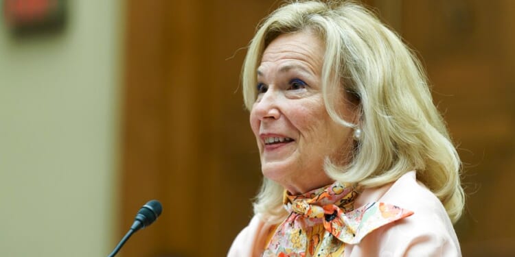 Trump's former COVID adviser: US equipped to handle response to Ebola outbreak