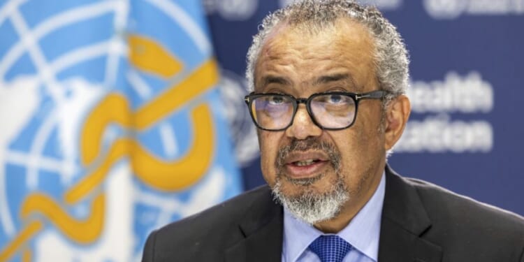 WHO chief says hantavirus 'situation is stable for now'
