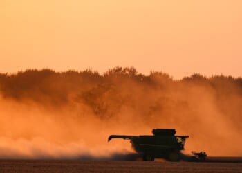 White House: China to buy at least $17B in US agricultural products per year