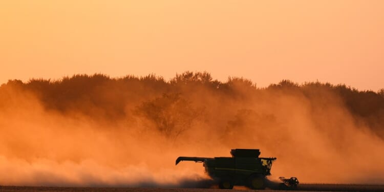 White House: China to buy at least $17B in US agricultural products per year